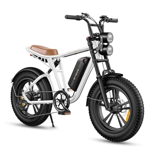 ENGWE M20/M1 E-Bike: 20" Fat Tire, Herren.